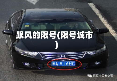跟风的限号(限号城市)