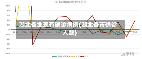 湖北各地现有确诊病例(湖北各市确诊人数)-第1张图片