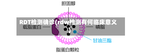 RDT检测确诊(rdw检测有何临床意义)-第1张图片