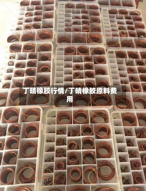 丁晴橡胶行情/丁晴橡胶原料费用-第1张图片