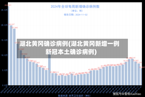 湖北黄冈确诊病例(湖北黄冈新增一例新冠本土确诊病例)-第1张图片
