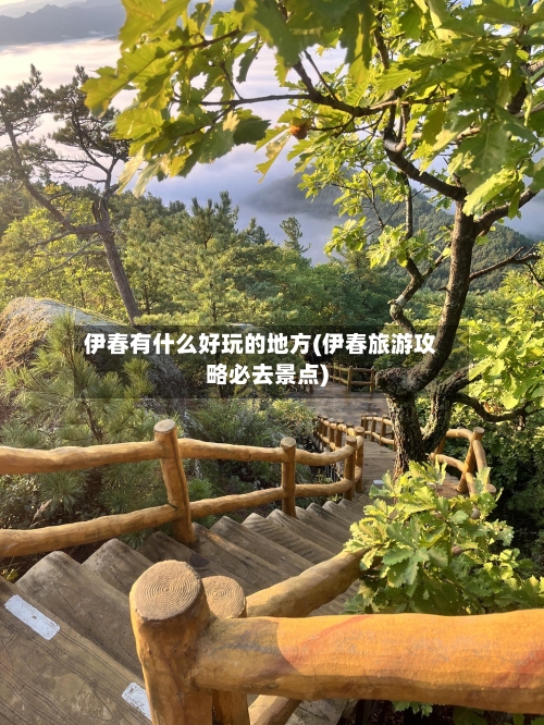 伊春有什么好玩的地方(伊春旅游攻略必去景点)-第1张图片