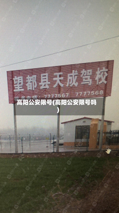 高阳公安限号(高阳公安限号吗)