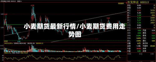 小麦期货最新行情/小麦期货费用走势图