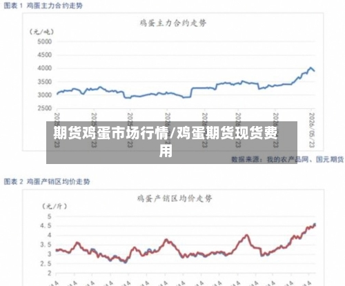 期货鸡蛋市场行情/鸡蛋期货现货费用-第3张图片