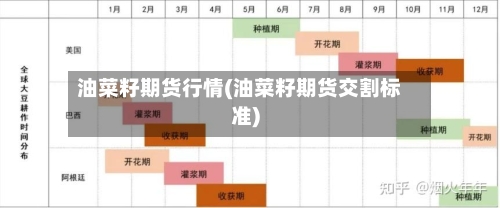 油菜籽期货行情(油菜籽期货交割标准)-第1张图片