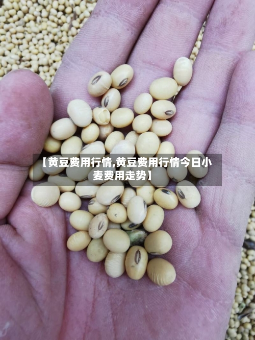 【黄豆费用行情,黄豆费用行情今日小麦费用走势】-第1张图片