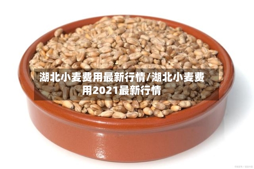湖北小麦费用最新行情/湖北小麦费用2021最新行情
