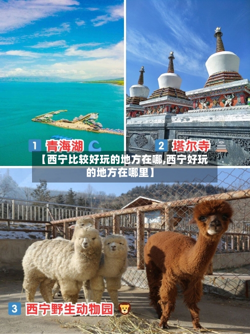 【西宁比较好玩的地方在哪,西宁好玩的地方在哪里】