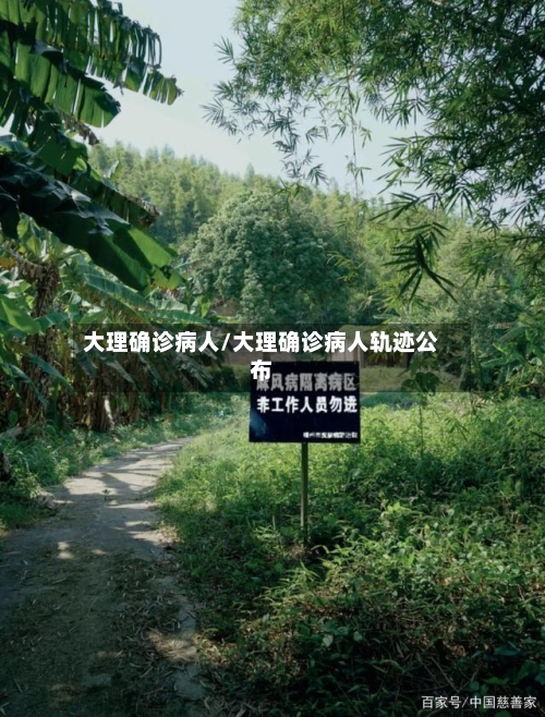 大理确诊病人/大理确诊病人轨迹公布