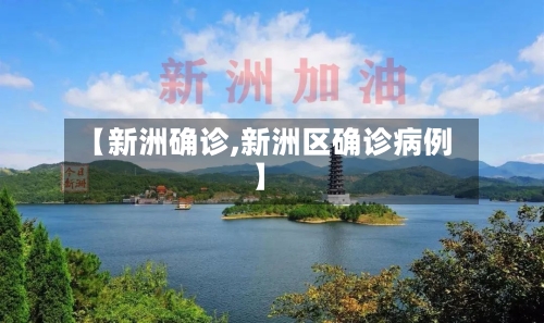 【新洲确诊,新洲区确诊病例】