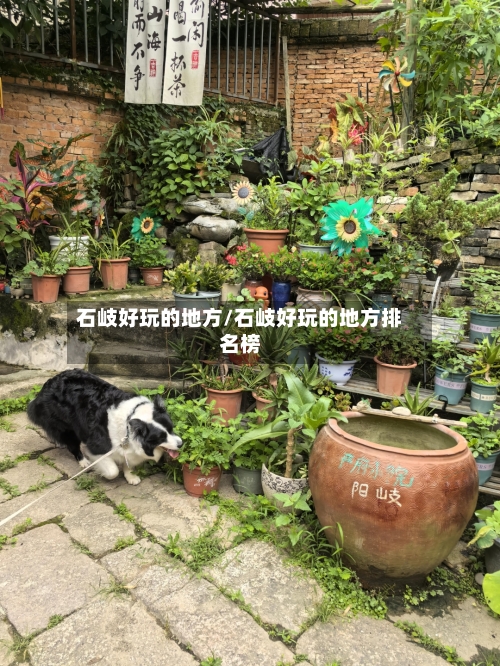 石岐好玩的地方/石岐好玩的地方排名榜