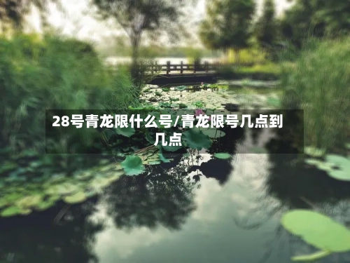 28号青龙限什么号/青龙限号几点到几点-第3张图片