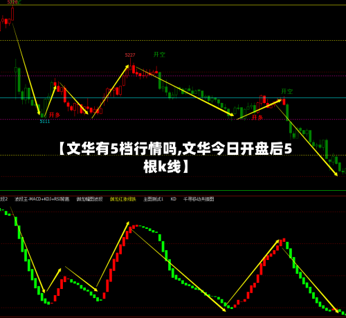 【文华有5档行情吗,文华今日开盘后5根k线】-第2张图片