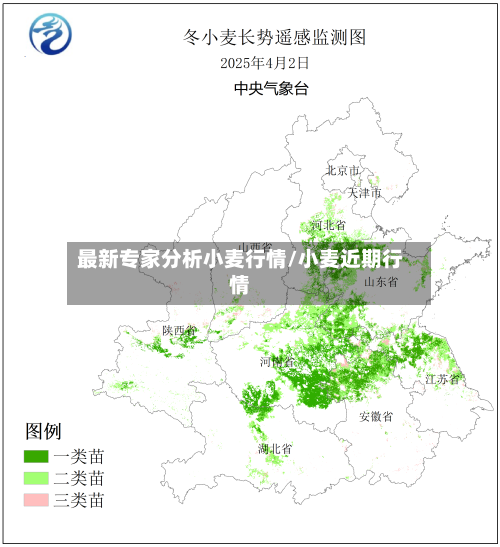最新专家分析小麦行情/小麦近期行情-第3张图片