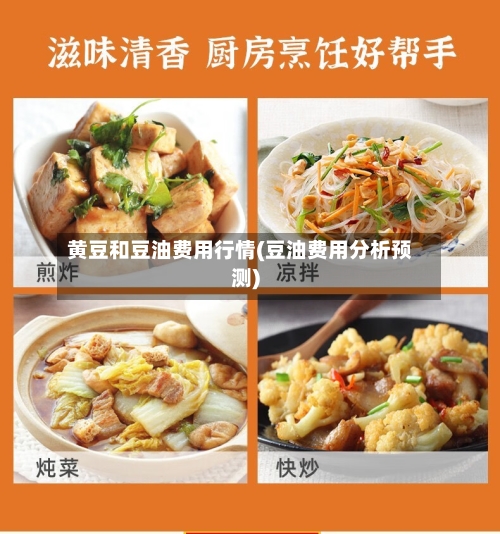 黄豆和豆油费用行情(豆油费用分析预测)