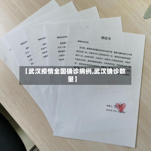 【武汉疫情全国确诊病例,武汉确诊数量】-第3张图片