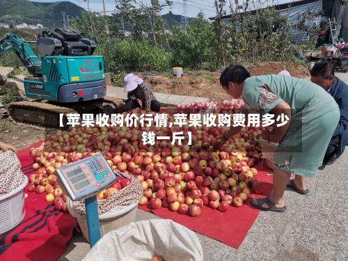 【苹果收购价行情,苹果收购费用多少钱一斤】-第3张图片