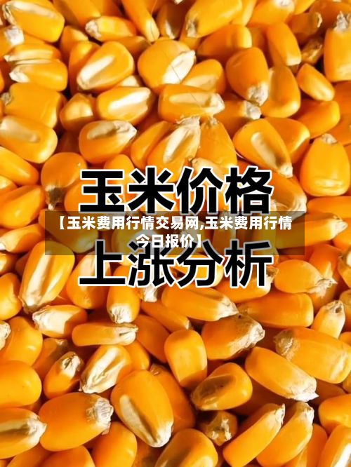 【玉米费用行情交易网,玉米费用行情今日报价】-第3张图片