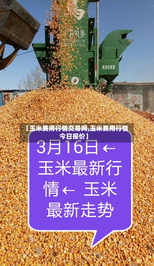 【玉米费用行情交易网,玉米费用行情今日报价】