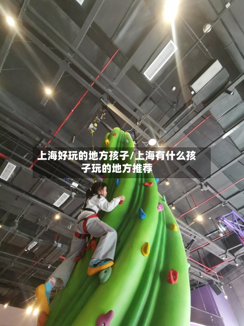 上海好玩的地方孩子/上海有什么孩子玩的地方推荐