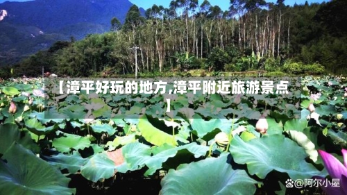 【漳平好玩的地方,漳平附近旅游景点】