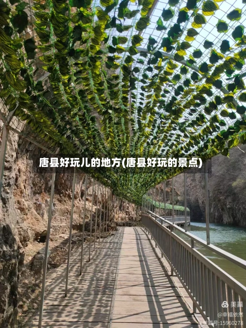 唐县好玩儿的地方(唐县好玩的景点)-第2张图片