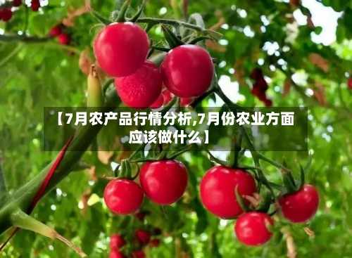 【7月农产品行情分析,7月份农业方面应该做什么】