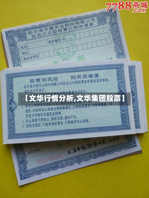 【文华行情分析,文华集团股票】