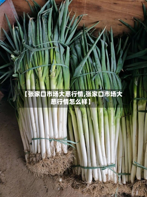 【张家口市场大葱行情,张家口市场大葱行情怎么样】-第2张图片