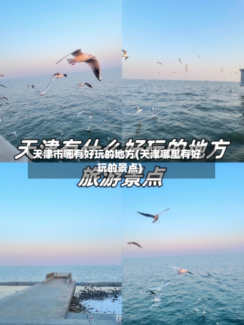 天津市哪有好玩的地方(天津哪里有好玩的景点)