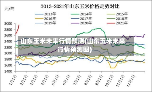 山东玉米未来行情预测(山东玉米未来行情预测图)-第2张图片