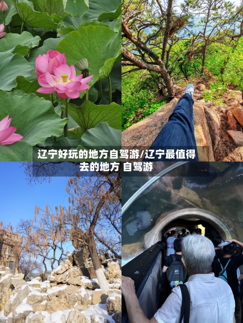 辽宁好玩的地方自驾游/辽宁最值得去的地方 自驾游