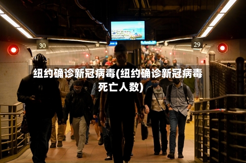 纽约确诊新冠病毒(纽约确诊新冠病毒死亡人数)-第3张图片