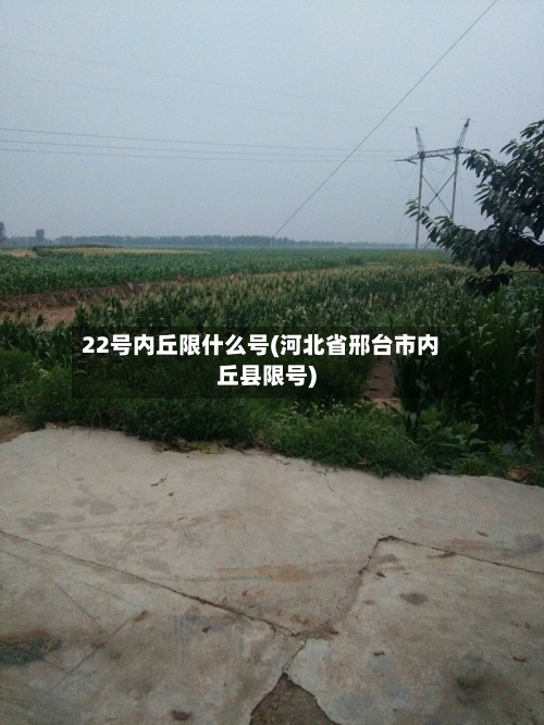 22号内丘限什么号(河北省邢台市内丘县限号)