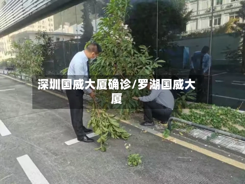 深圳国威大厦确诊/罗湖国威大厦-第2张图片