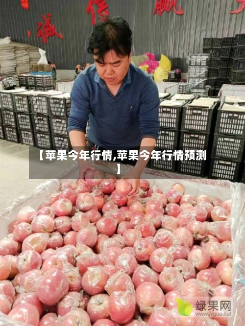 【苹果今年行情,苹果今年行情预测】