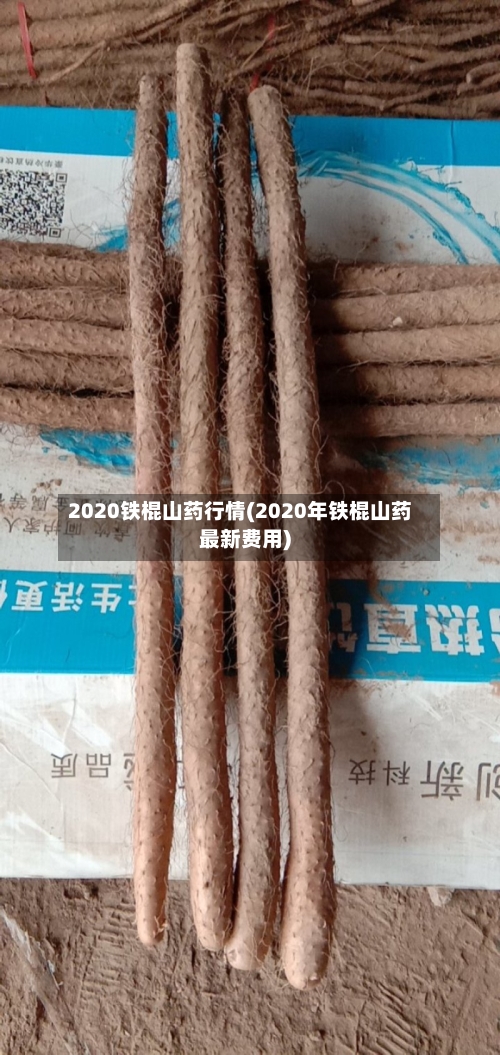 2020铁棍山药行情(2020年铁棍山药最新费用)