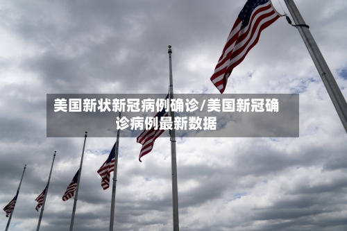 美国新状新冠病例确诊/美国新冠确诊病例最新数据-第3张图片