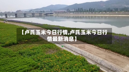 【卢氏玉米今日行情,卢氏玉米今日行情最新消息】