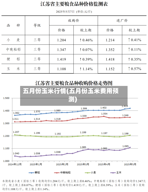 五月份玉米行情(五月份玉米费用预测)