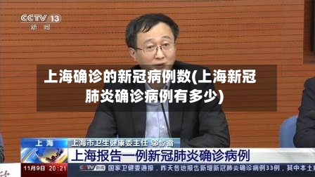 上海确诊的新冠病例数(上海新冠肺炎确诊病例有多少)-第2张图片