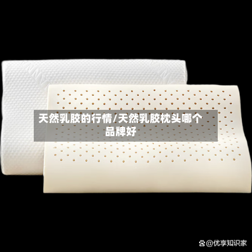 天然乳胶的行情/天然乳胶枕头哪个品牌好-第2张图片