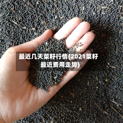 最近几天菜籽行情(2021菜籽最近费用走势)-第2张图片