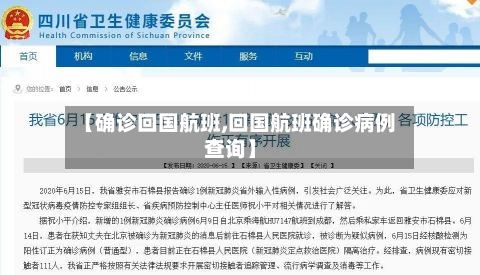 【确诊回国航班,回国航班确诊病例查询】-第3张图片