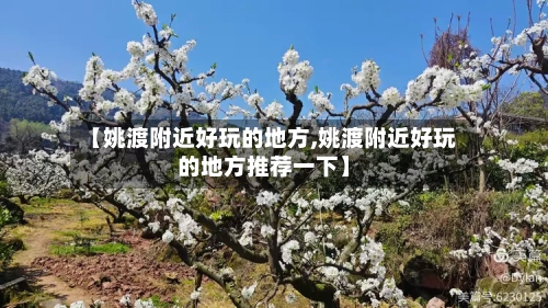 【姚渡附近好玩的地方,姚渡附近好玩的地方推荐一下】