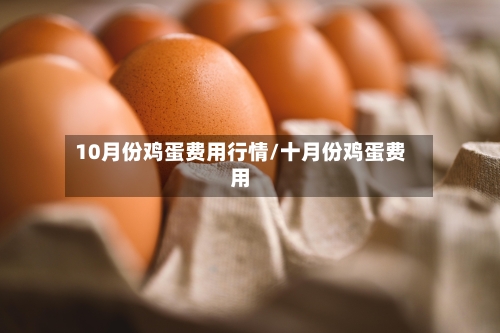 10月份鸡蛋费用行情/十月份鸡蛋费用