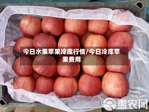 今日水果苹果冷库行情/今日冷库苹果费用-第2张图片