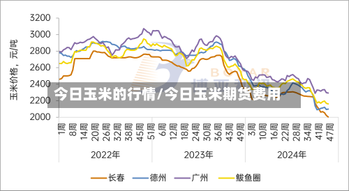 今日玉米的行情/今日玉米期货费用