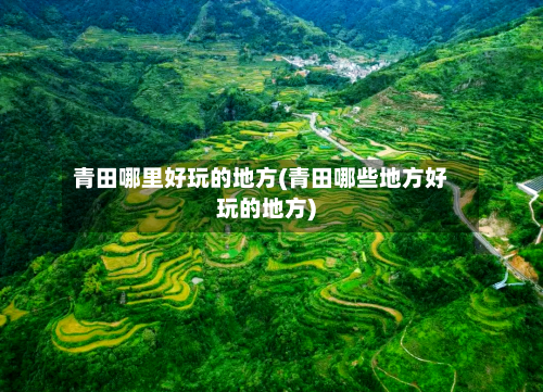 青田哪里好玩的地方(青田哪些地方好玩的地方)-第1张图片